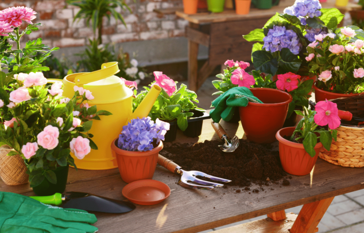 Container Gardening