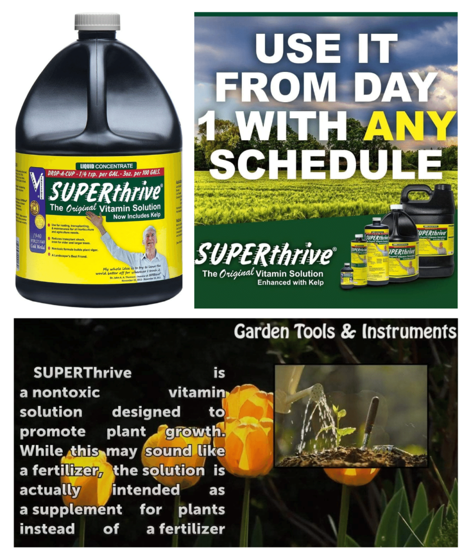 SUPERthrive vitamin solution