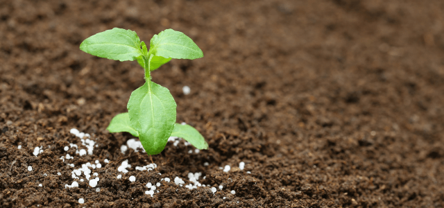 soil and fertilizer